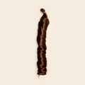 Copper Auburn (#33)